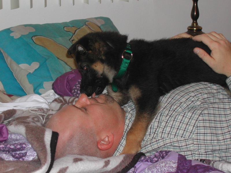 Dad Kisses