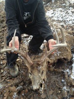 Dead Buck