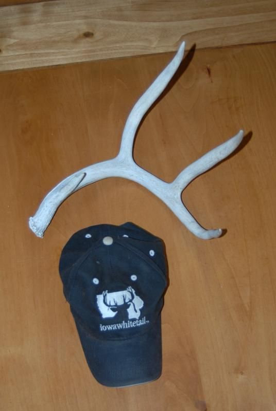 Desert muley shed with hat for scale.