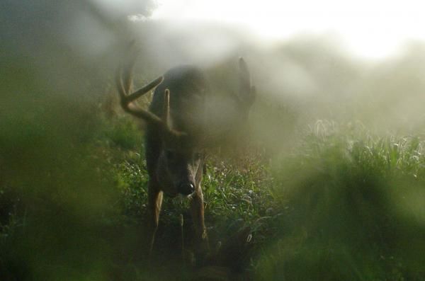 Dew On The Lens