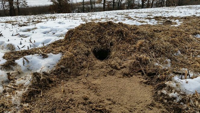 Dirt hole