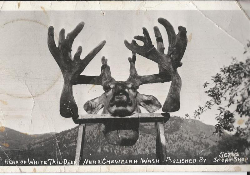 drop tine vintage.jpg thumb