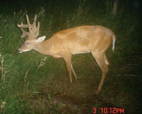 Droptines