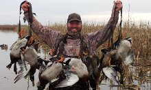 Ducks