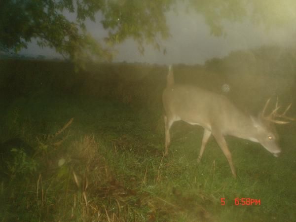 early oct, scrape 076
