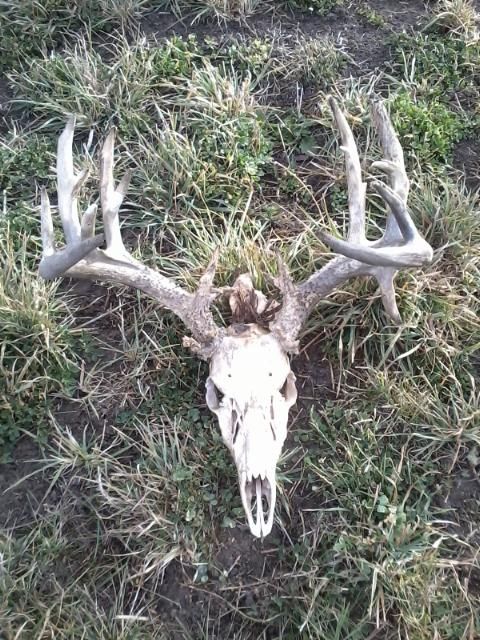 EHD found during shotgun