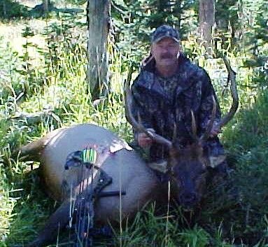 elk bow