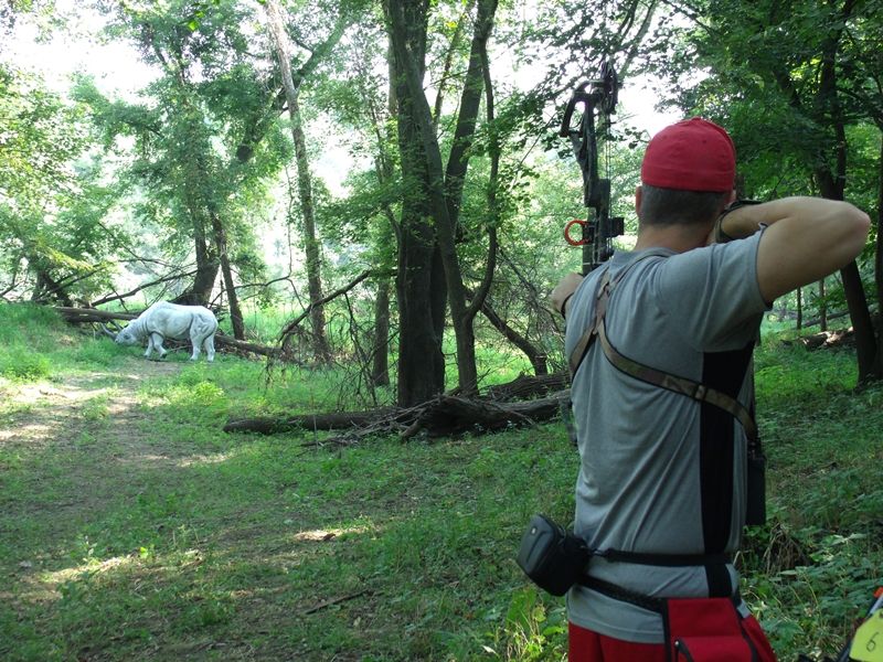 Elk Hunt 2013