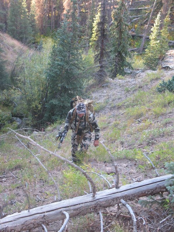 Elk Hunt 2014