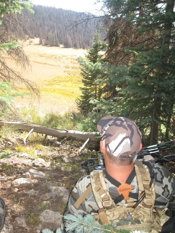 Elk Hunt 2014