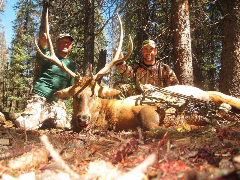 Elk Hunt