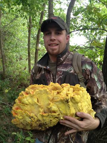 Fall Mushroom Hunting