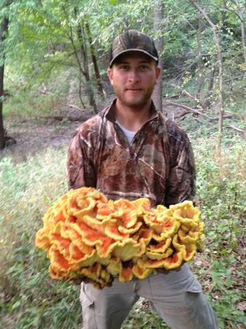 Fall Mushroom Hunting