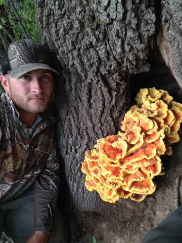 Fall Mushroom Hunting