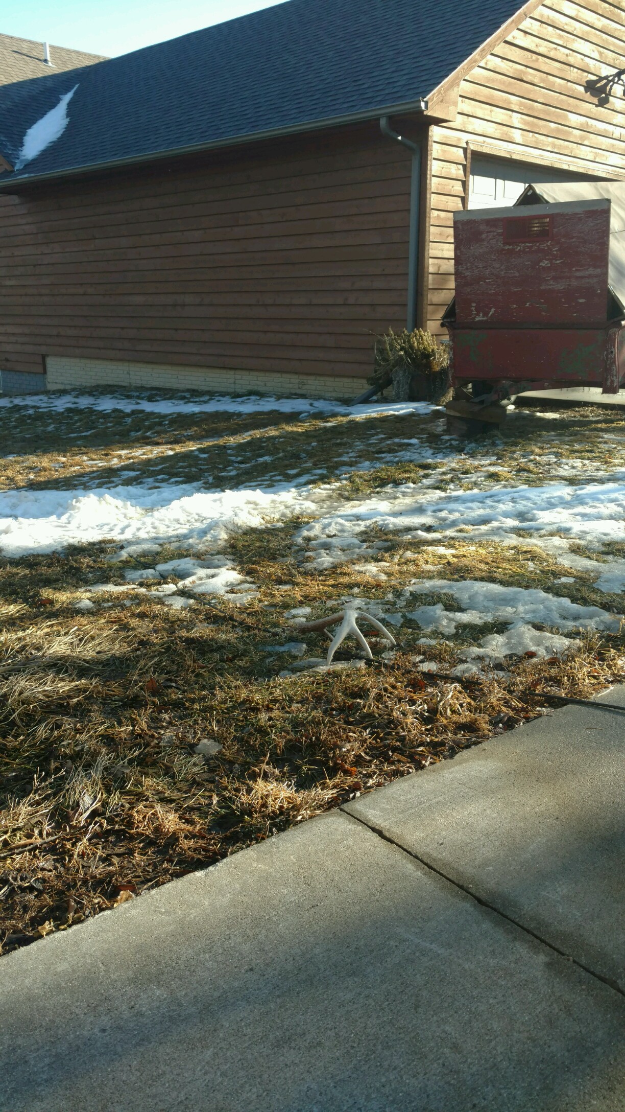 First Shed