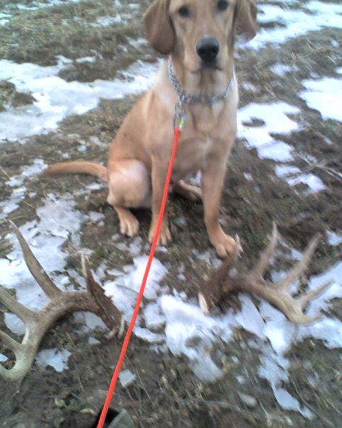 First Sheds 160" Matched Set