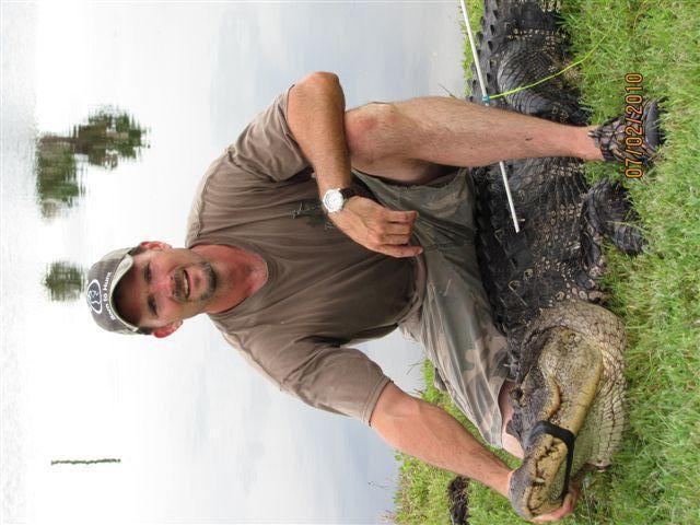 Fl Gator