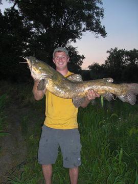 Flathead 24.5lbs