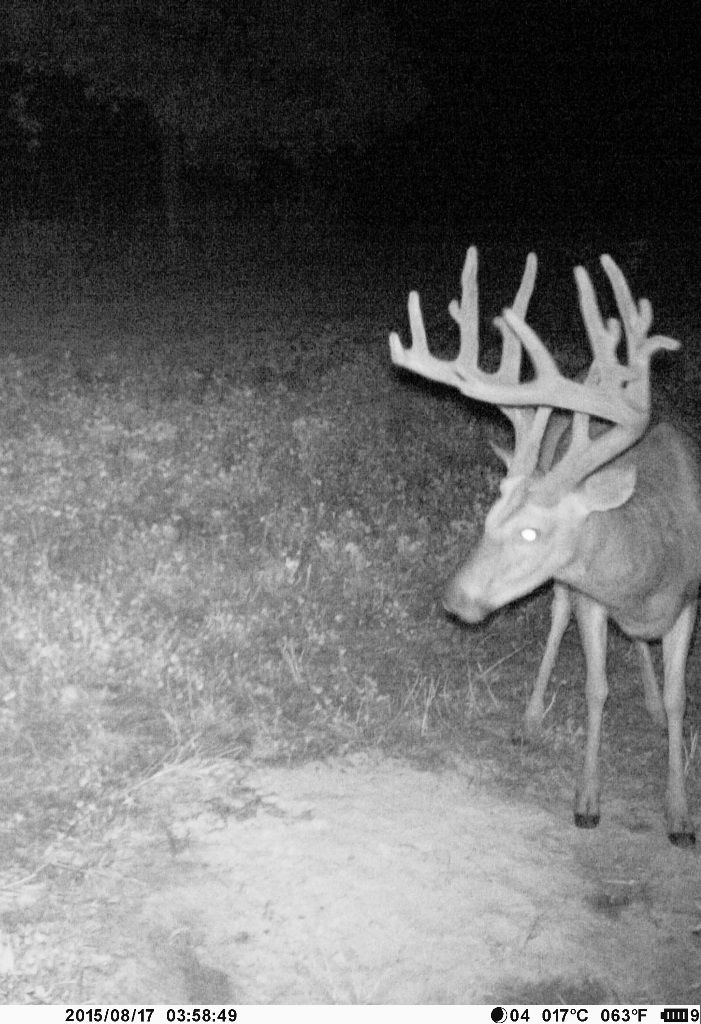 Flyers Trail cam 2015 1 resized