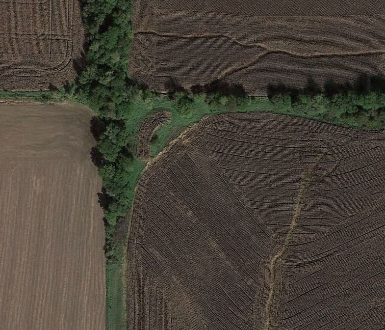 food plot