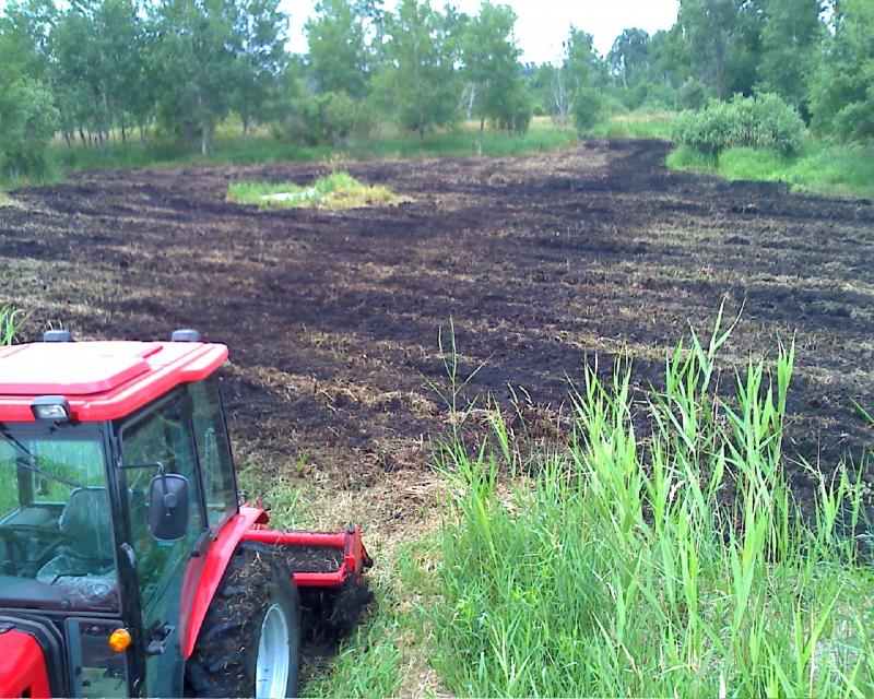 food plot