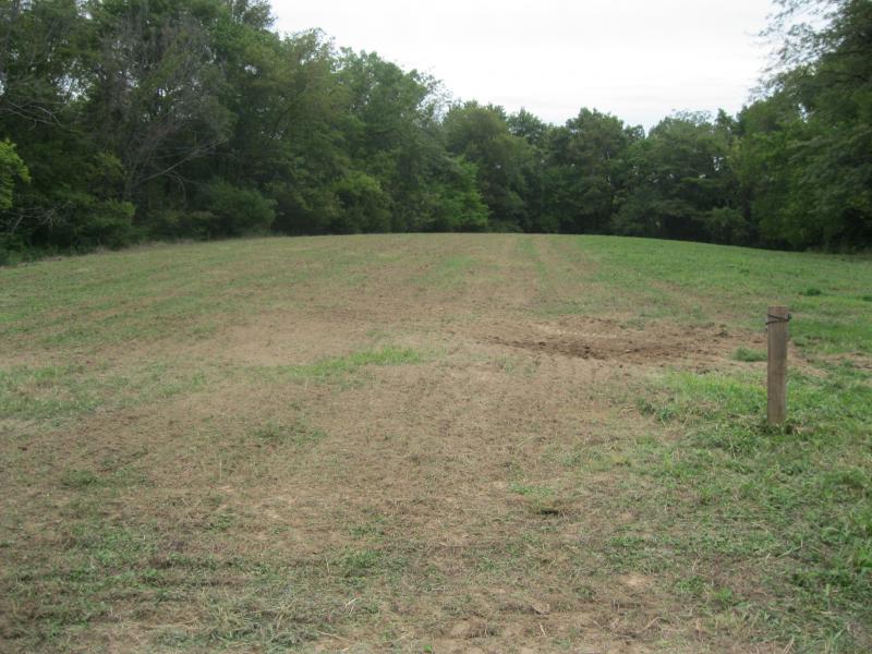 foodplot (1)