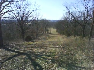 Foodplot Pics