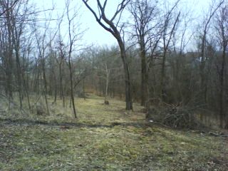 Foodplot Pics