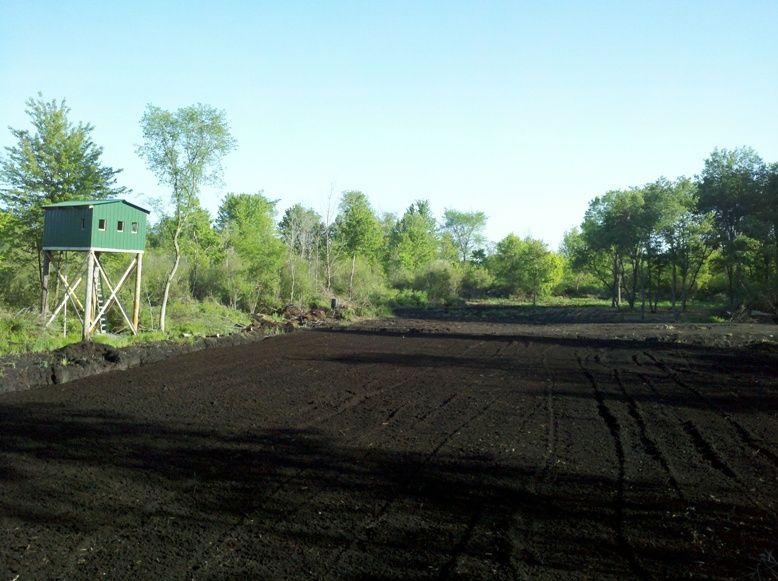 Foodplot  ready to plant