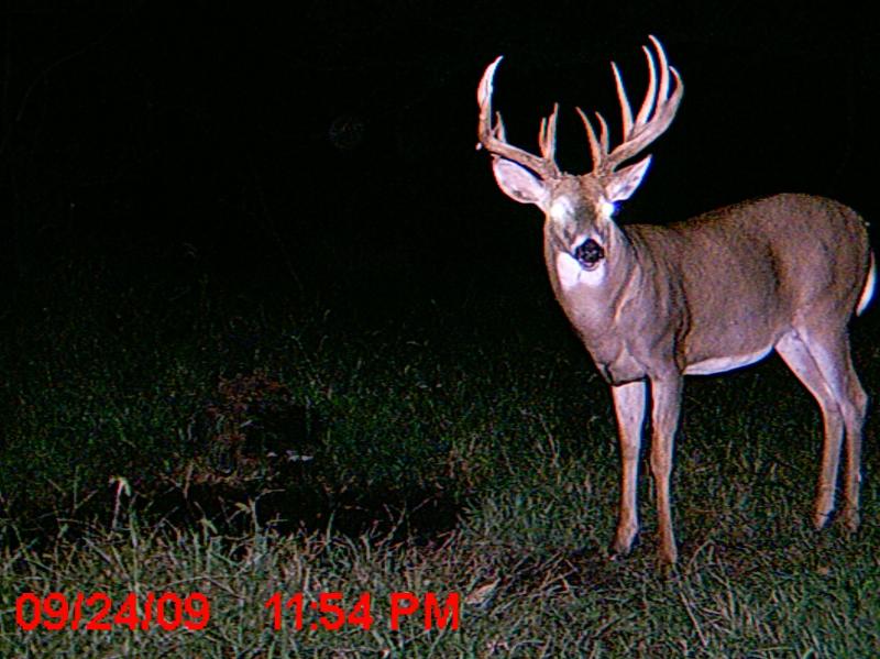 game cam 09 mccalls 002