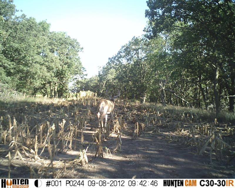 gap sept 9 12 244