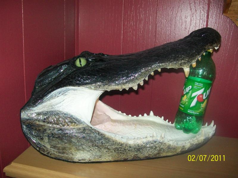 gator head 2010