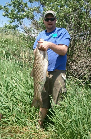 Grass Carp