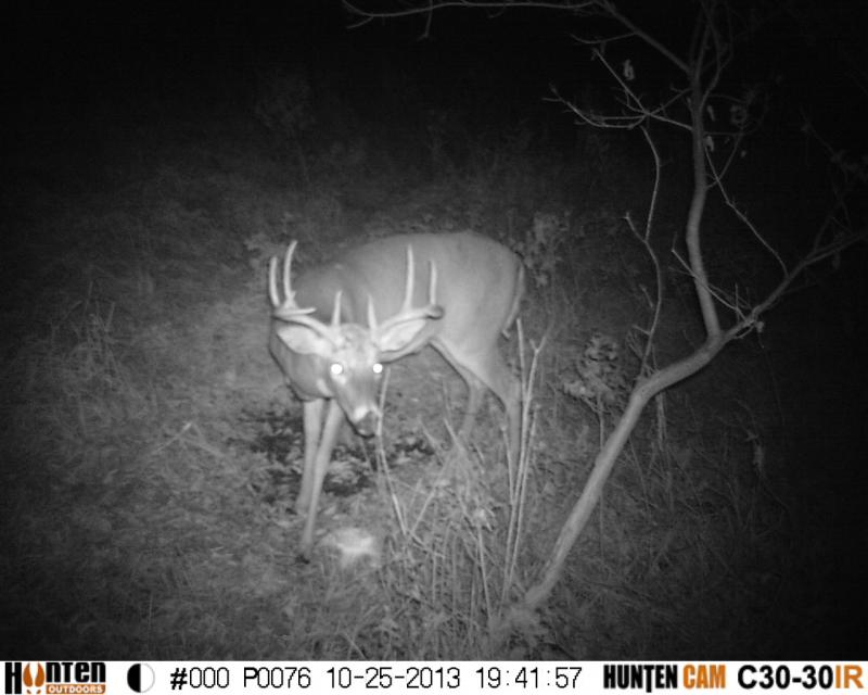 Had quite a few encounters with this guy during the season.  Stalked him through CRP and got within 80 yards.  Cool buck with a promising future if he