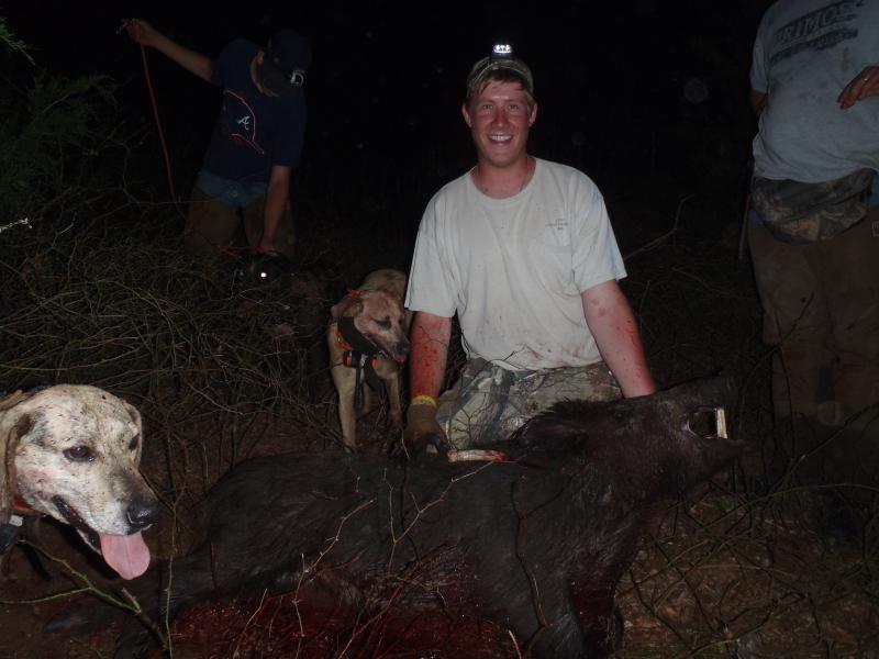 Hog from Texas with a knife