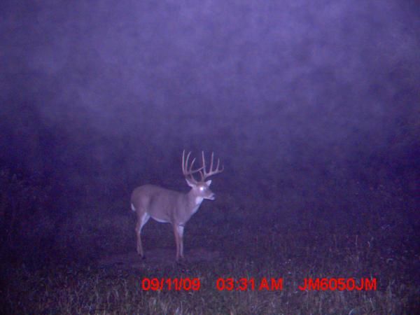 Hooker N Hard Horn