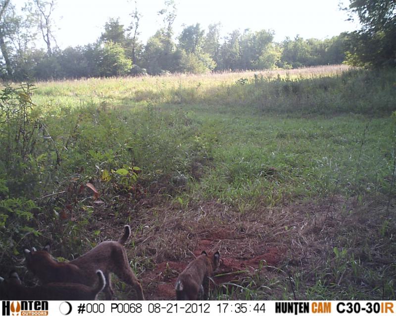 HUNT0068