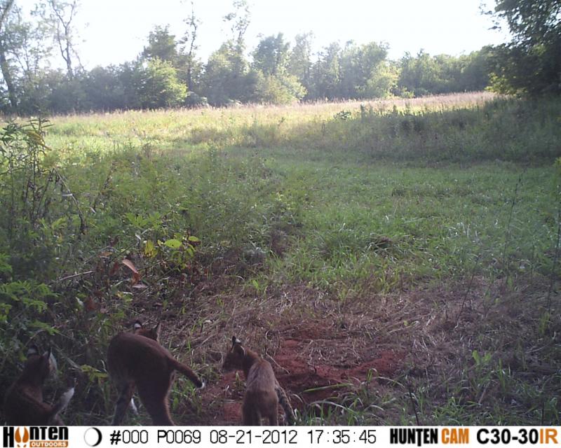 HUNT0069