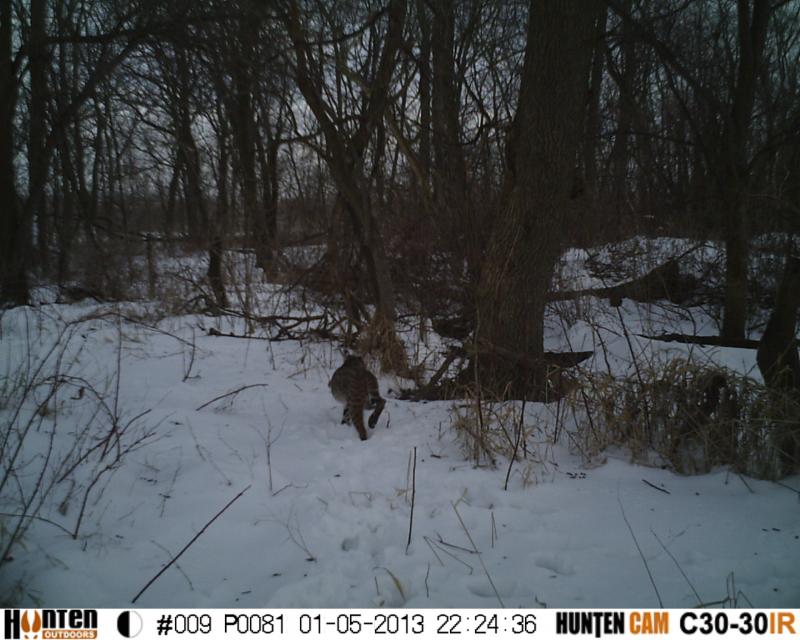 HUNT0081