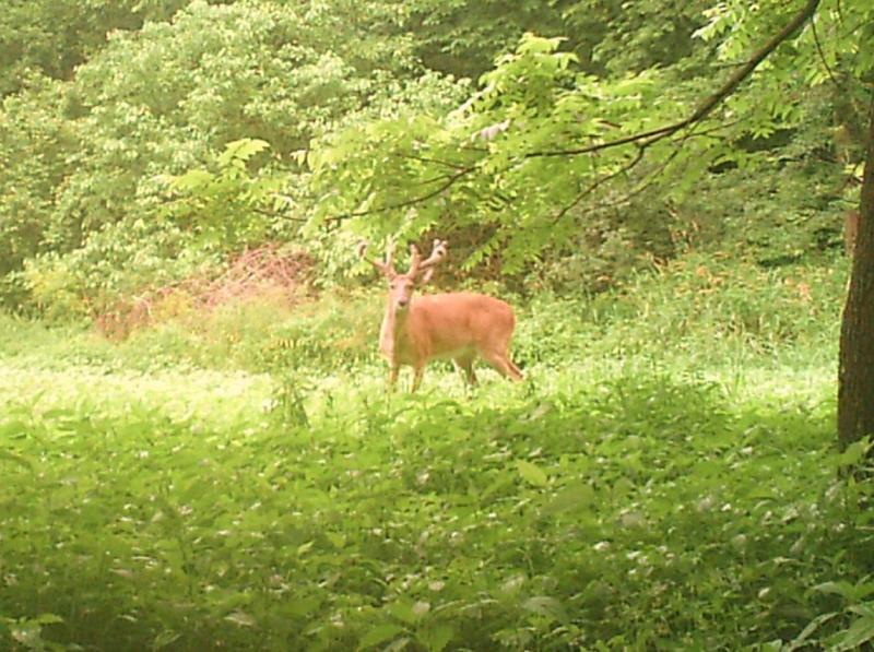 HUNT0149