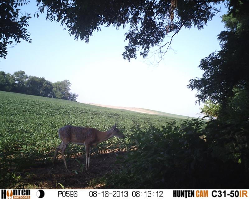 HUNT0598
