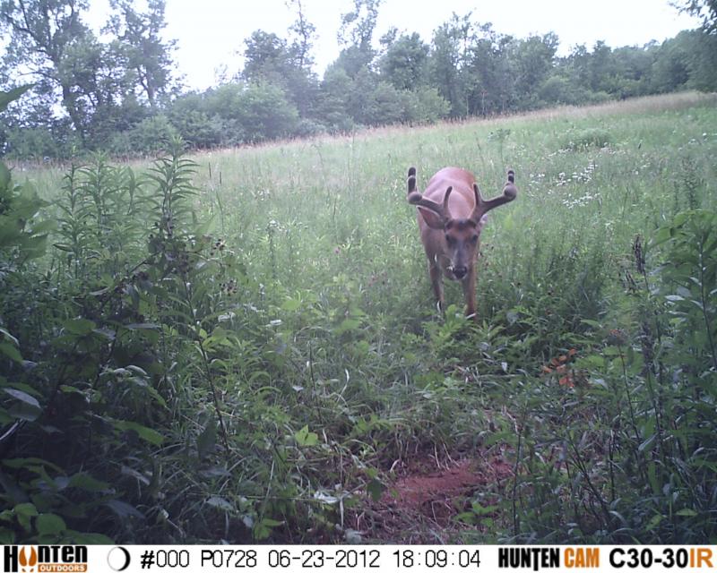 HUNT0728