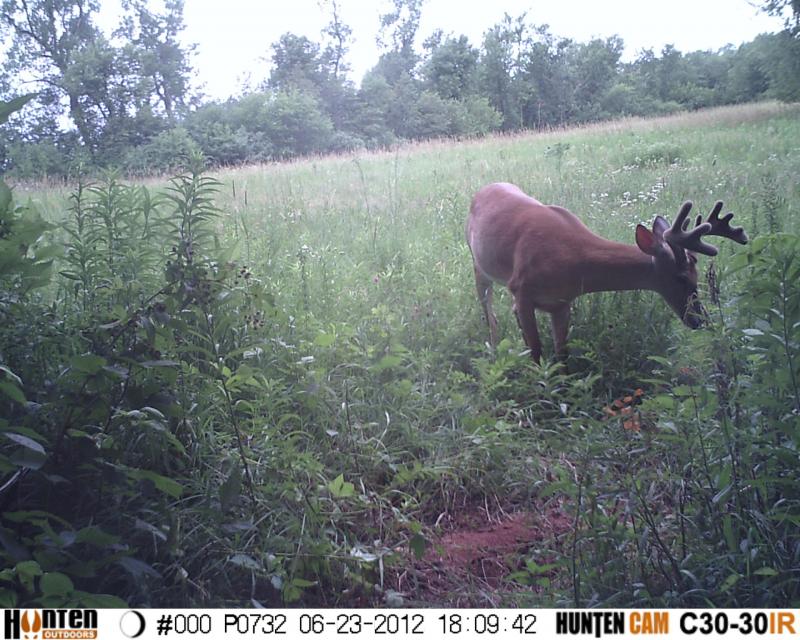 HUNT0732
