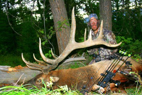 idaho elk 2009 319 3/8 net p&y