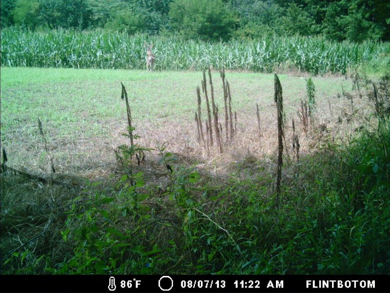 illinois property 071