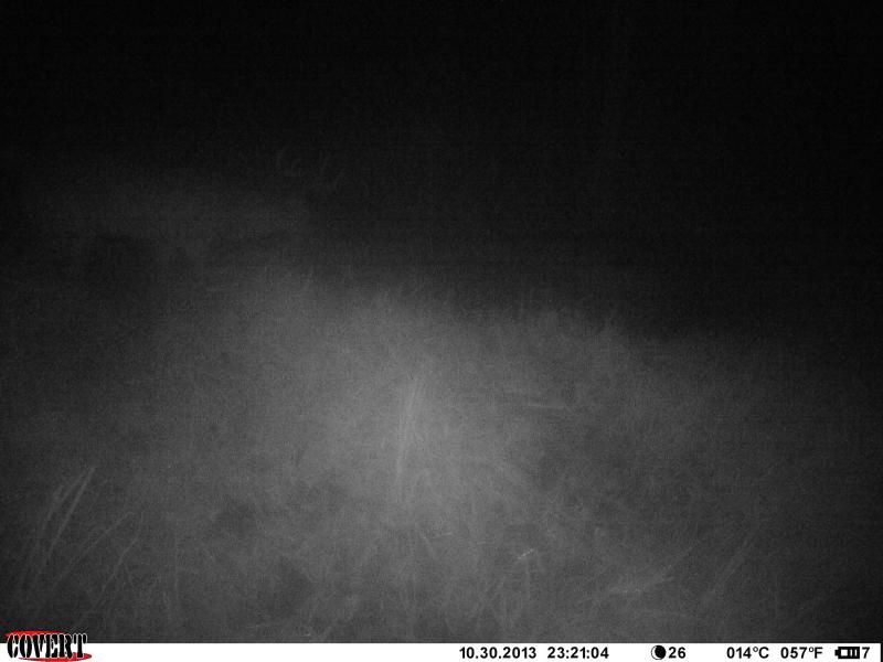 IMAG0010