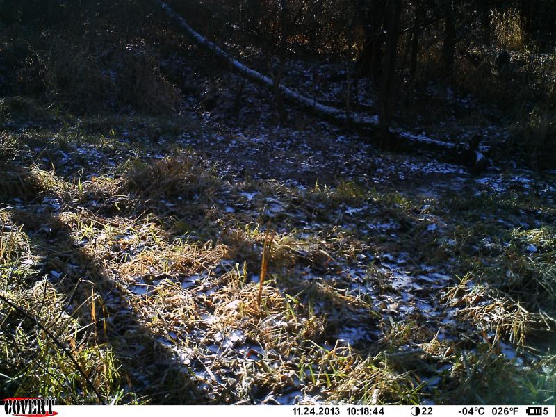 IMAG0093 (2)