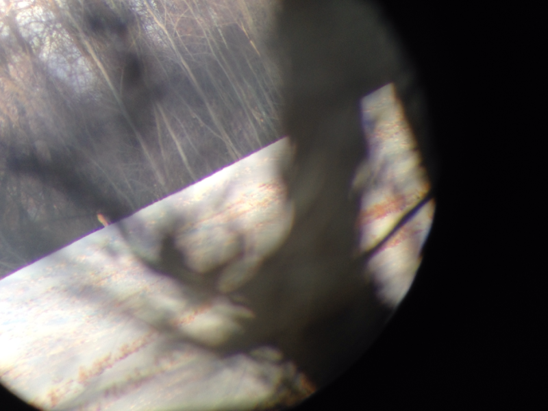 image 1053306044