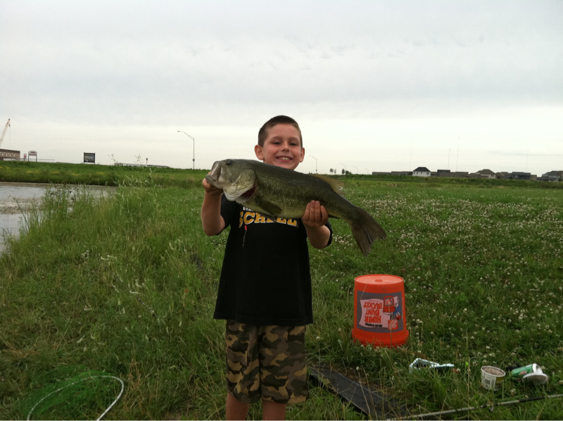 image 1105998103
