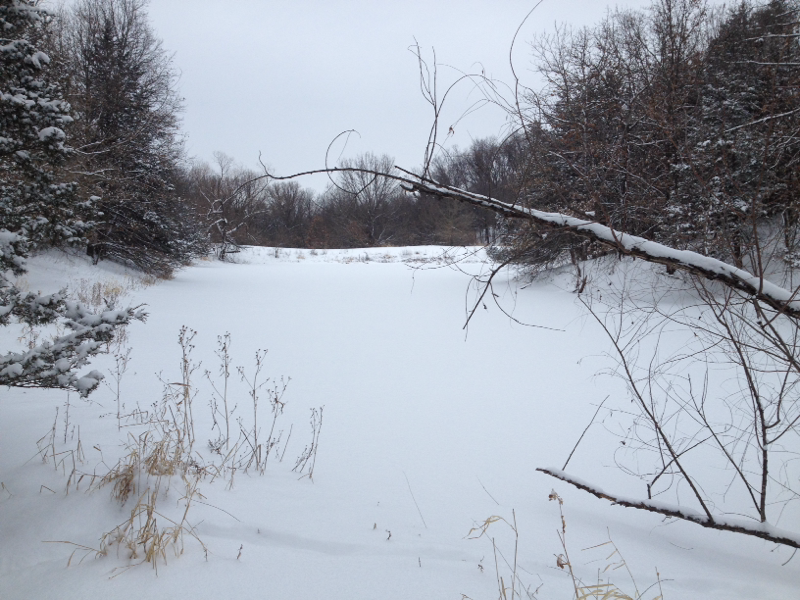 image 1721445024